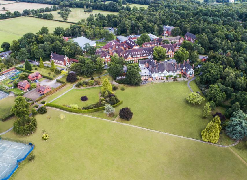 PROGRAMA ESTRELLA TWIST 2026